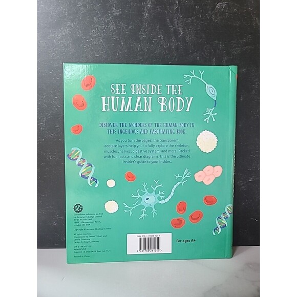 See Inside the Human Body - Hardcover By Hilton, Samantha - GOOD - Picture 8 of 10